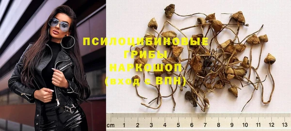 гидра Алексин