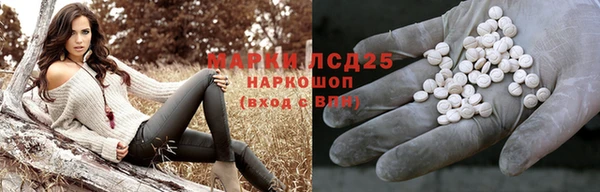 гидра Алексин