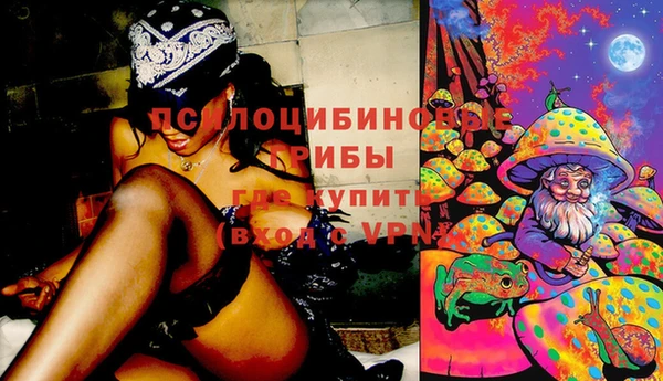 амф Алексеевка